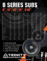 TRINITY AUDIO B SERIES 10" SUBWOOFER
